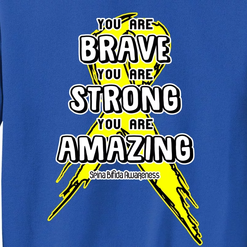 You Are Brave Strong Amazing! Spina Bifida Awareness Funny Gift Sweatshirt