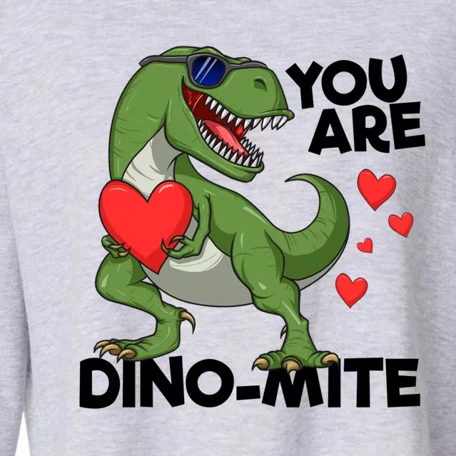 You Are Dinomeaningful Giftmite Tmeaningful Giftrex Dinosaur Valentines Day Trex Cropped Pullover Crew