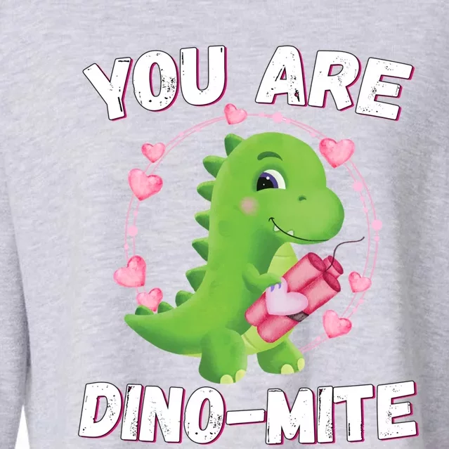 You Are Dinofunny Giftmite Dinosaurs Valentines Day Heart Dinofunny Giftmite Coo Cropped Pullover Crew