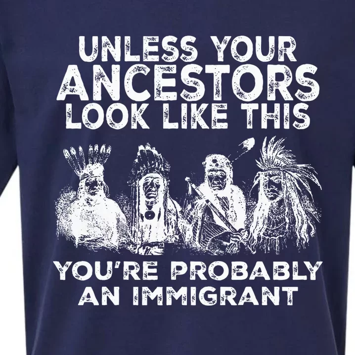 Your Ancestors Look Like This YouRe Probably An Immigrant Sueded Cloud Jersey T-Shirt