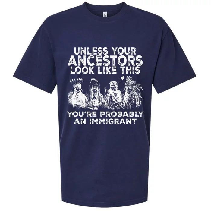 Your Ancestors Look Like This YouRe Probably An Immigrant Sueded Cloud Jersey T-Shirt