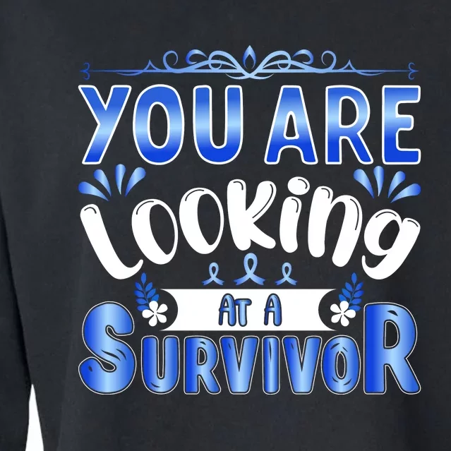 You Are Looking At A Survivor Cropped Pullover Crew