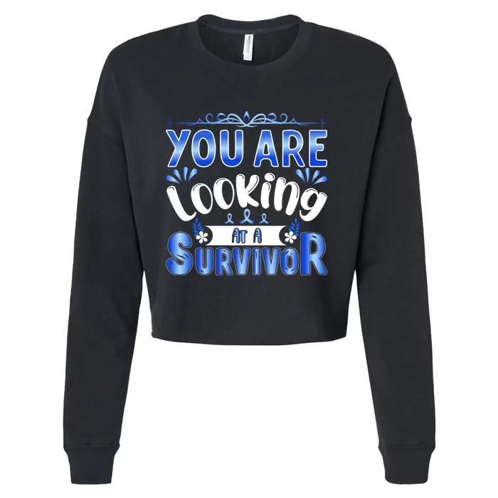 You Are Looking At A Survivor Cropped Pullover Crew