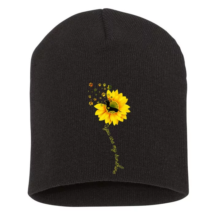 You Are My Sunshine Half Sunflower Dachshund Dog Funny Short Acrylic Beanie