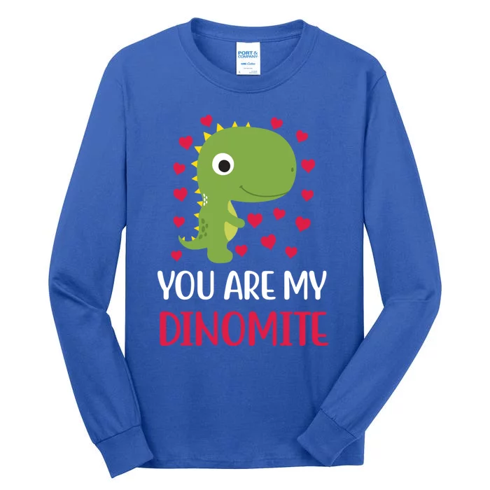 You Are My Dinomite Dinosaur Trex Valentines Day Gift Tall Long Sleeve T-Shirt