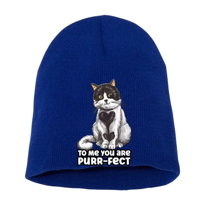 You Are Purrgiftfect Cat With Heart Drawing Valentines Day Gift Short Acrylic Beanie