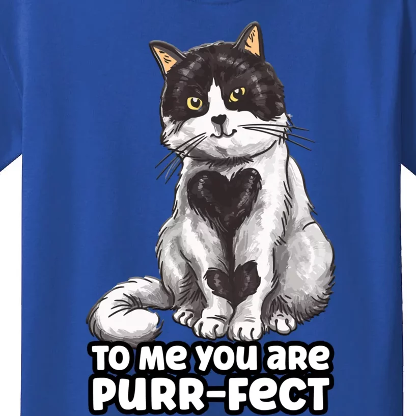 You Are Purrgiftfect Cat With Heart Drawing Valentines Day Gift Kids T-Shirt