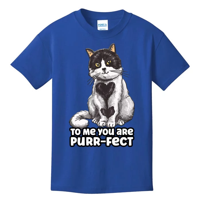 You Are Purrgiftfect Cat With Heart Drawing Valentines Day Gift Kids T-Shirt