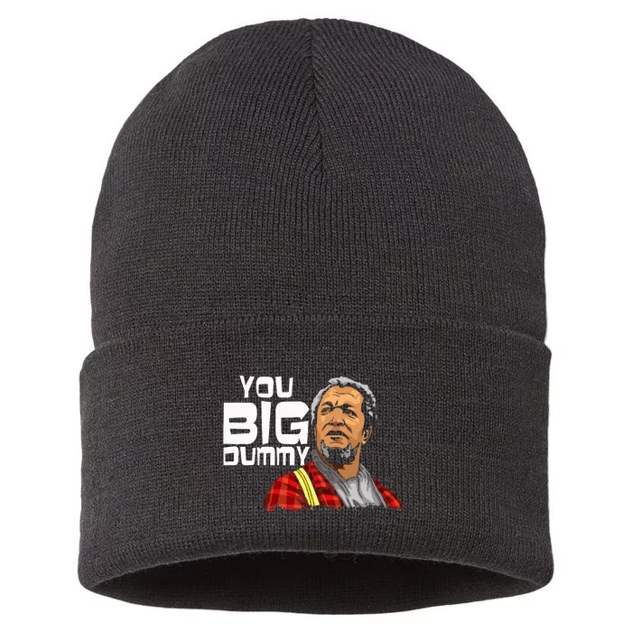 You Big Dummy Son In Sanford City Sustainable Knit Beanie