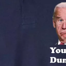 You Big Dummy Joe Biden Softstyle Adult Sport Polo