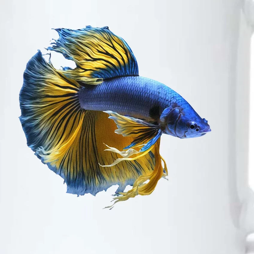 Yellow & Blue Siamese Fighting Betta Fish Aquarium Owner Black Color Changing Mug