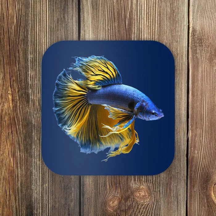 Yellow & Blue Siamese Fighting Betta Fish Aquarium Owner Coaster