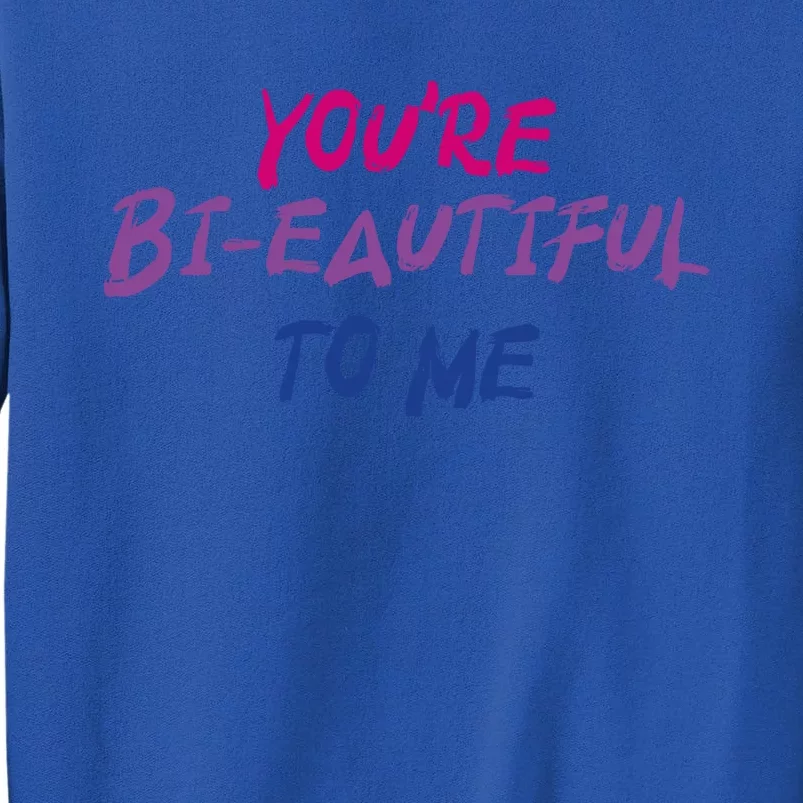 You're Bigifteautiful To Me Bisexual Pride Gift Tall Sweatshirt