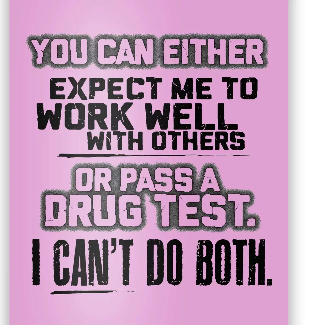 You Can Either Expect Me To Work Well With Others Or Pass Poster