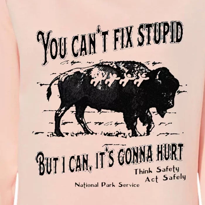 You Can’t Fix Stupid But I Can Its Gonna Hurt Womens California Wash Sweatshirt