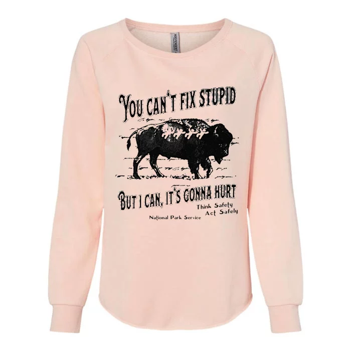 You Can’t Fix Stupid But I Can Its Gonna Hurt Womens California Wash Sweatshirt