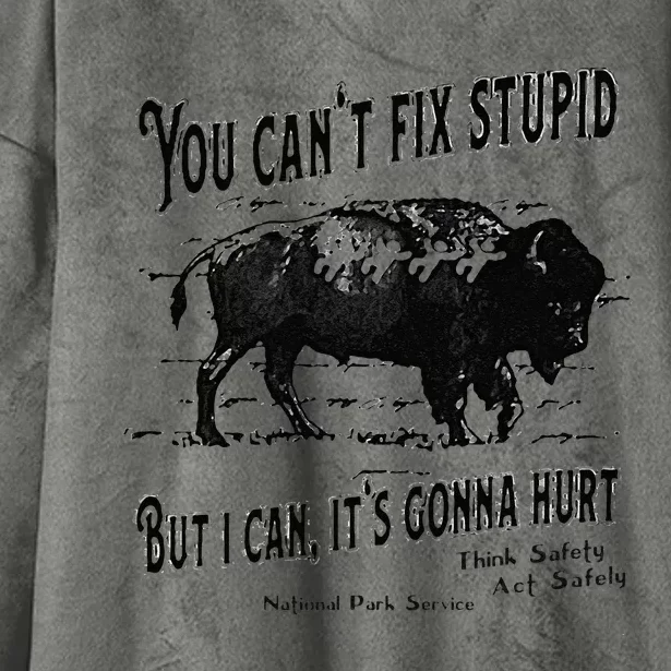 You Can’t Fix Stupid But I Can Its Gonna Hurt Hooded Wearable Blanket