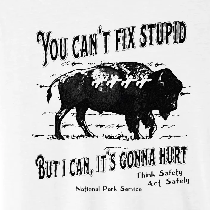 You Can’t Fix Stupid But I Can Its Gonna Hurt ChromaSoft Performance T-Shirt