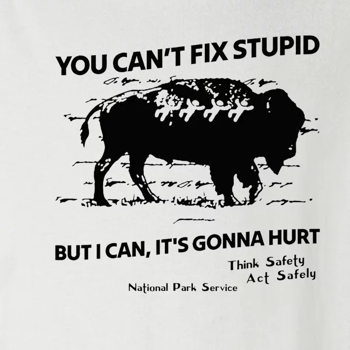 You Can’T Fix Stupid But I Can ItS Gonna Hurt Funny Quote Toddler Long Sleeve Shirt