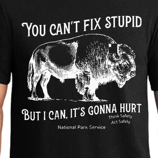 You CanT Fix Stupid But I Can ItS Gonna Hurt Think Safety Pajama Set