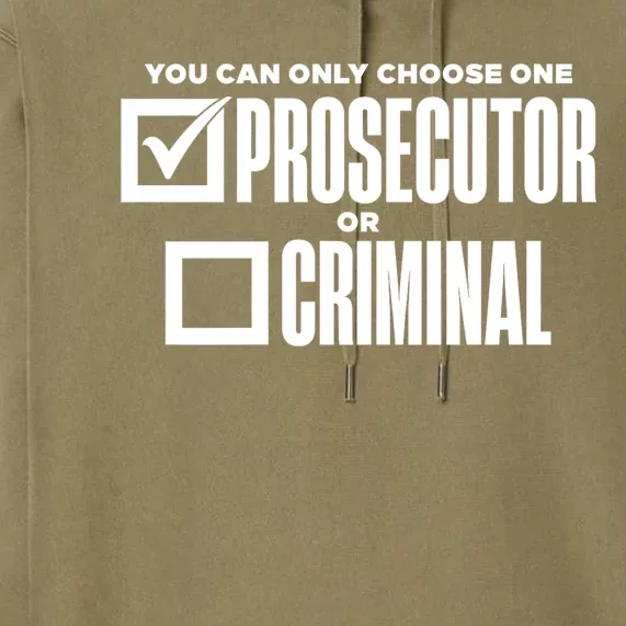 You Can Only Choose One Prosecutor Or Criminal Funny Voting Premium Hoodie