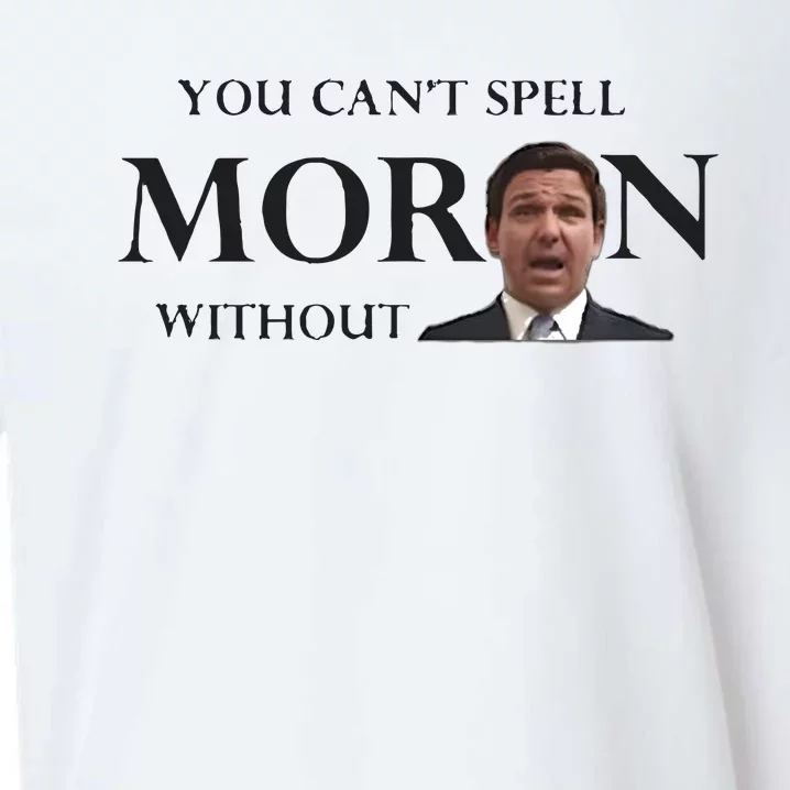 You Can’t Spell Moron Without Ron Sueded Cloud Jersey T-Shirt