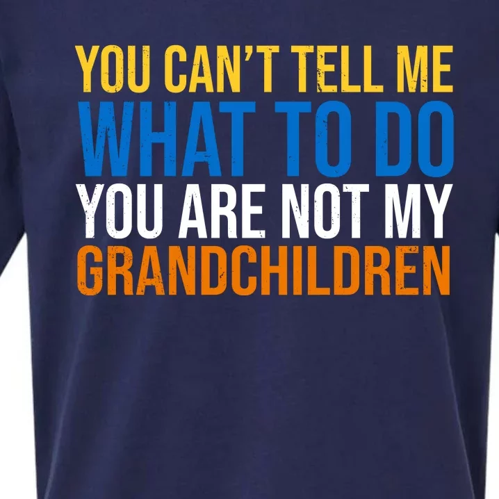 You Can't Tell Me What To Do You Are Not My Grandchildren Funny Sueded Cloud Jersey T-Shirt