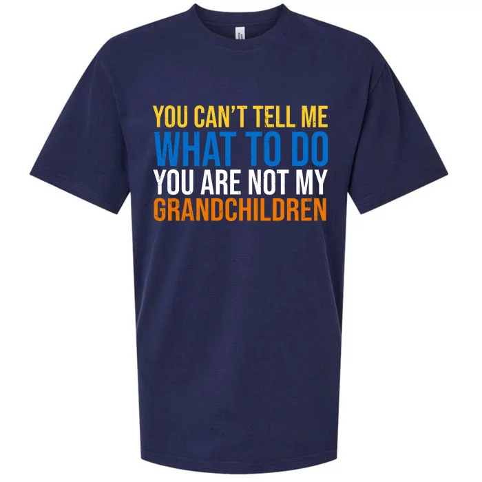 You Can't Tell Me What To Do You Are Not My Grandchildren Funny Sueded Cloud Jersey T-Shirt