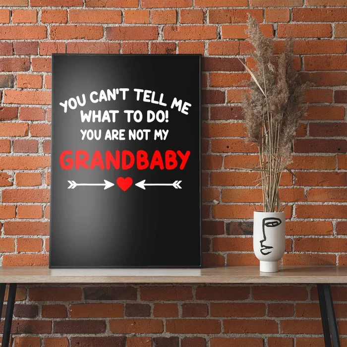 You CanT Tell Me What To Do You Are Not My Grandbaby Poster