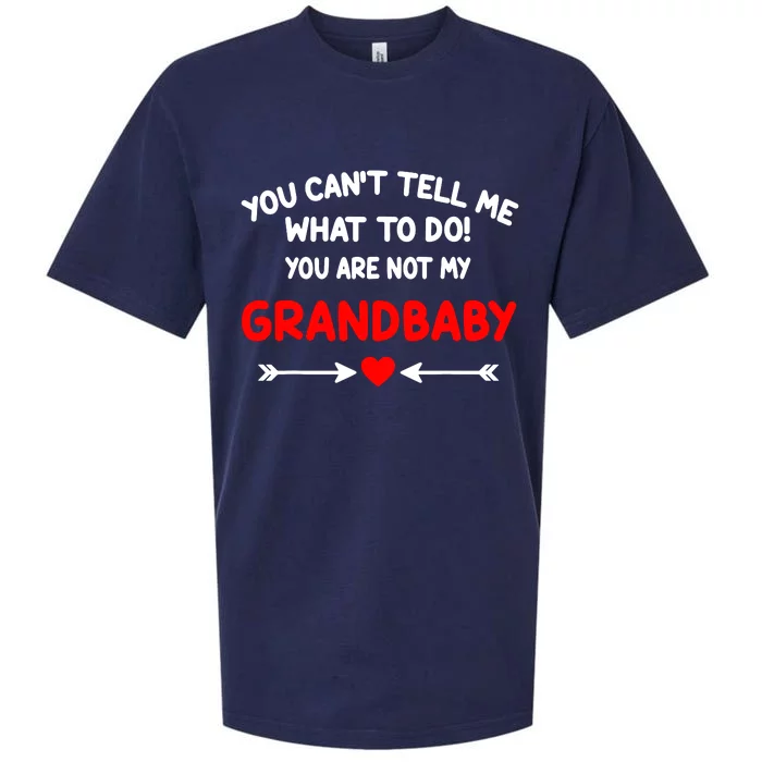 You CanT Tell Me What To Do You Are Not My Grandbaby Sueded Cloud Jersey T-Shirt