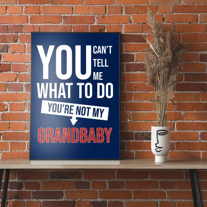 You Can't Tell Me What To Do You're Not My Grandbaby Poster