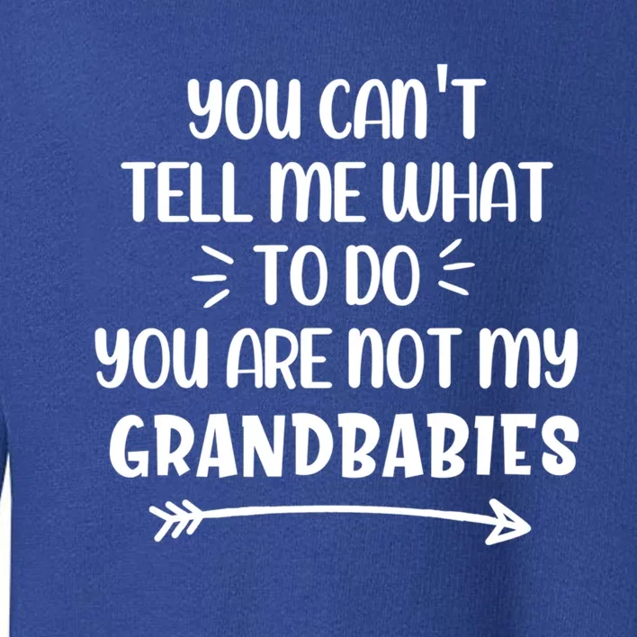 You Can't Tell Me What To Do You Are Not My Grand Gift Toddler Sweatshirt