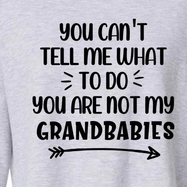 You Can't Tell Me What To Do You Are Not My Grand Gift Cropped Pullover Crew