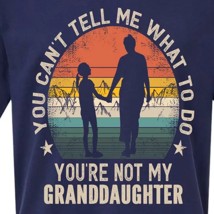 You Cant Tell Me What To Do Youre Not My Granddaughter Sueded Cloud Jersey T-Shirt