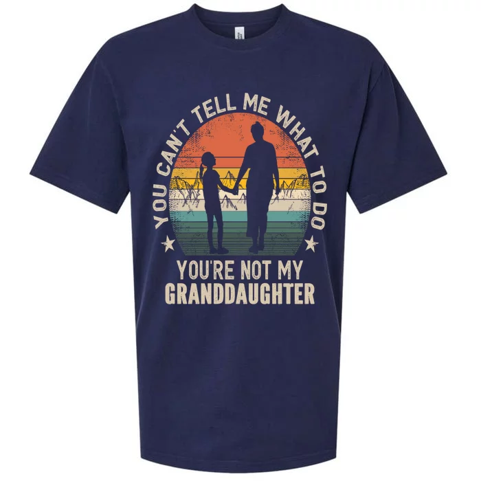 You Cant Tell Me What To Do Youre Not My Granddaughter Sueded Cloud Jersey T-Shirt