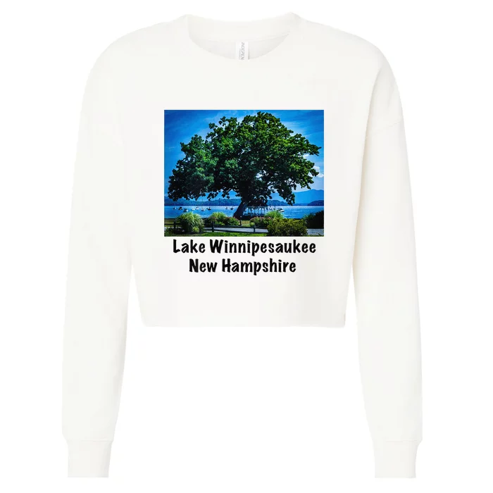 Yacht Club Vista Cropped Pullover Crew