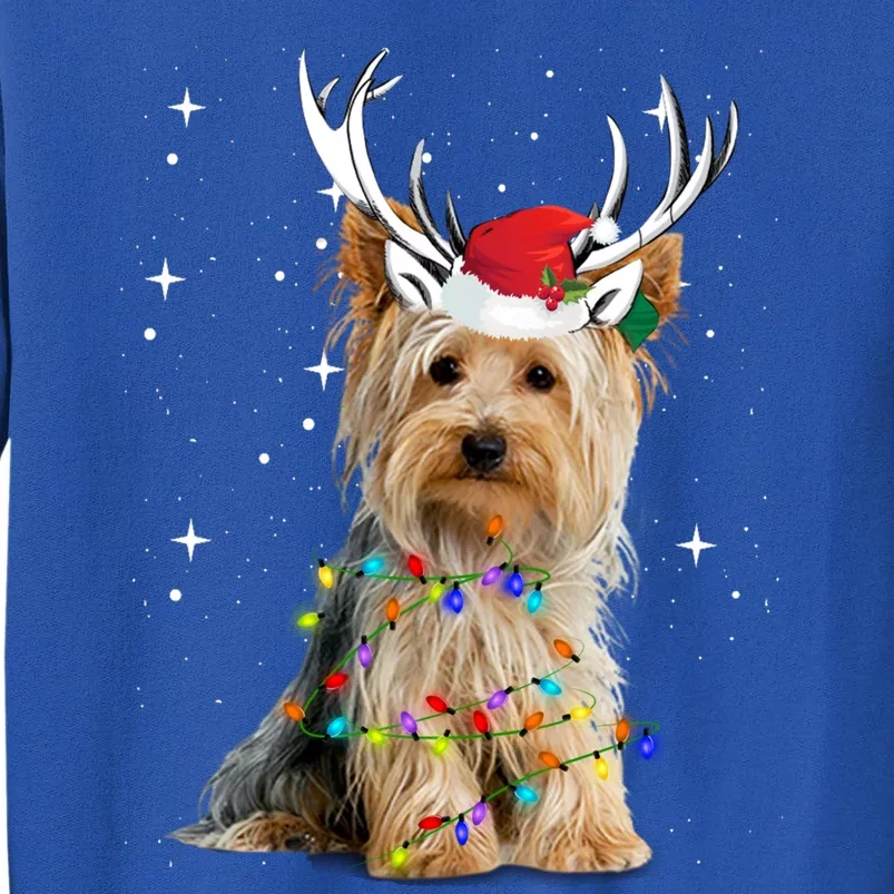 Yorkie Dog Reindeer Christmas Lights Funny Gift Tall Sweatshirt