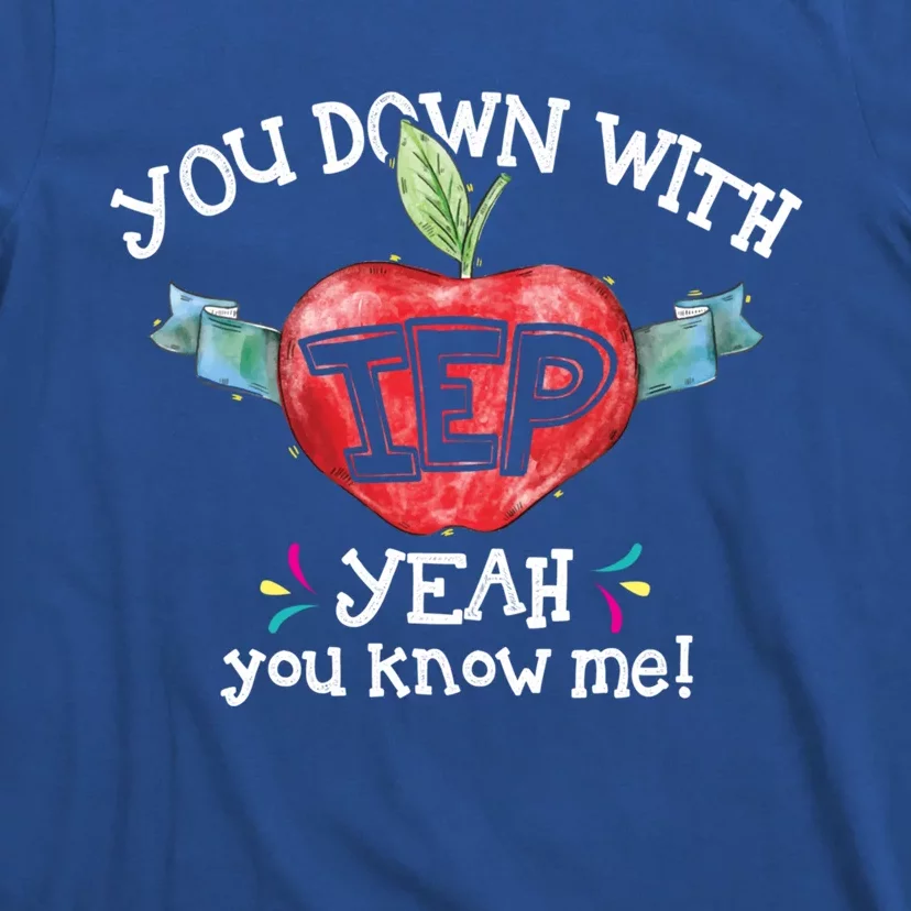 You Down With Iep Yeah You Know Me Special Education Teacher Gift T-Shirt