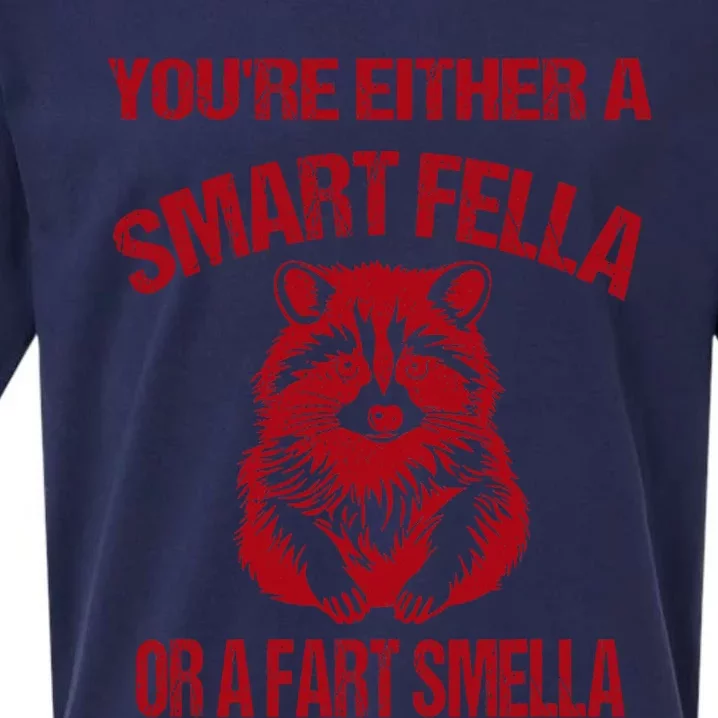 YouRe Either A Smart Fella Or A Fart Smella Sueded Cloud Jersey T-Shirt