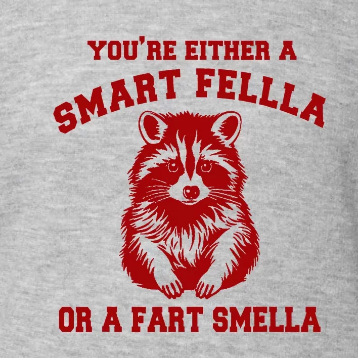 YouRe Either A Smart Fella Or A Fart Smella Toddler Sweatshirt