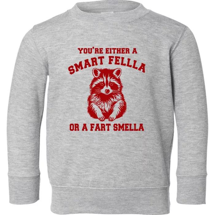 YouRe Either A Smart Fella Or A Fart Smella Toddler Sweatshirt