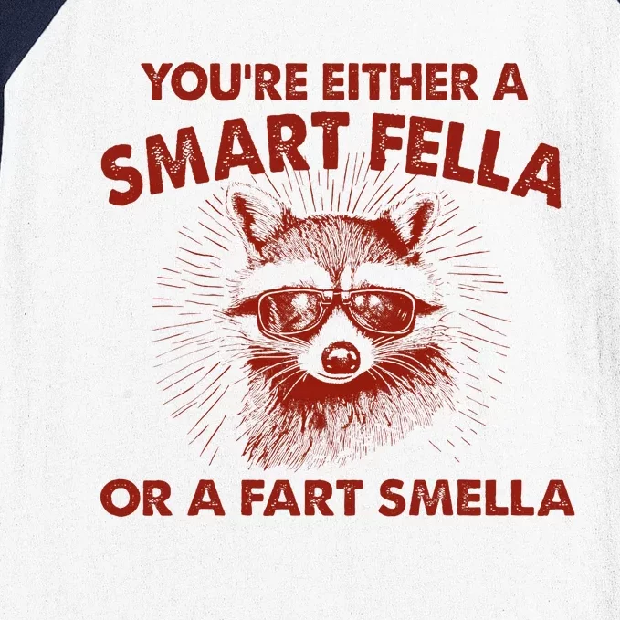 YouRe Either A Smart Fella Or Fart Smella Raccoon Baseball Sleeve Shirt