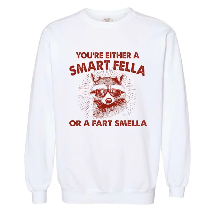 YouRe Either A Smart Fella Or Fart Smella Raccoon Garment-Dyed Sweatshirt