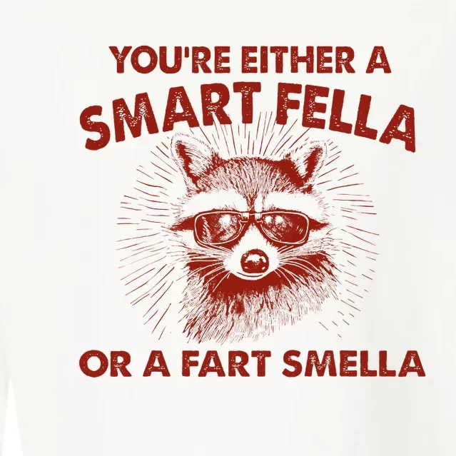 YouRe Either A Smart Fella Or Fart Smella Raccoon Cropped Pullover Crew