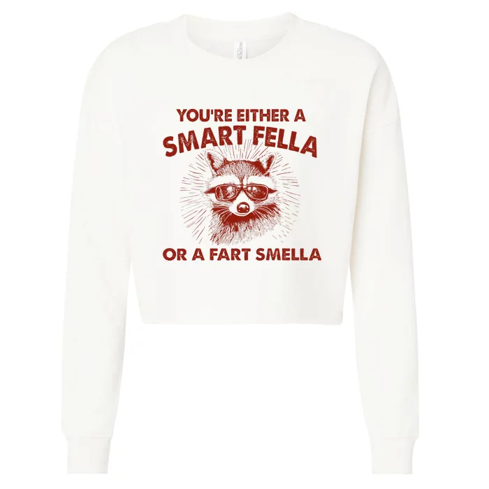 YouRe Either A Smart Fella Or Fart Smella Raccoon Cropped Pullover Crew