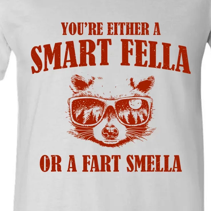 YouRe Either A Smart Fella Or A Fart Smella V-Neck T-Shirt