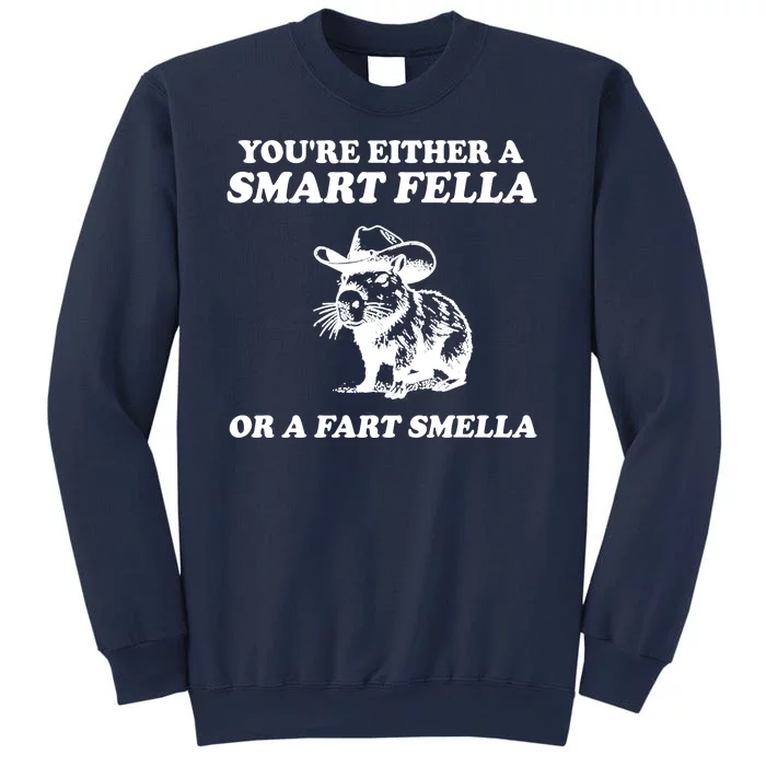 Youre Either A Smart Fella Or A Fart Smella Funny Sweatshirt