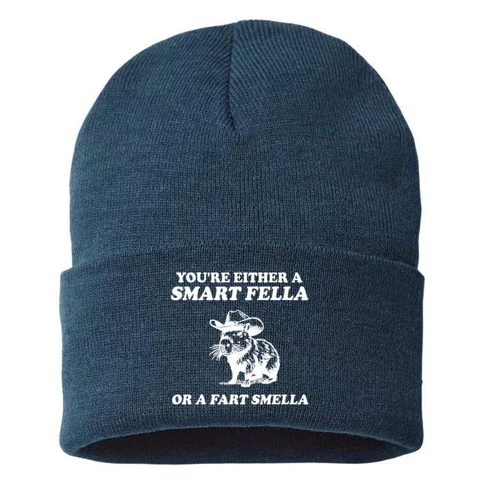 Youre Either A Smart Fella Or A Fart Smella Funny Sustainable Knit Beanie