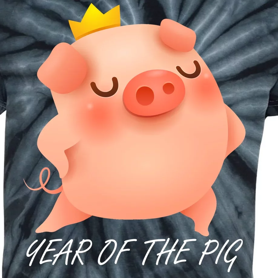 Year Of The Pig Chinese Zodiac Kids Tie-Dye T-Shirt