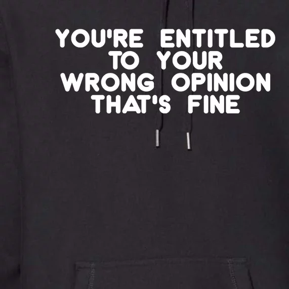 You're Entitled To Your Wrong Opinion That's Fine Funny Gift Premium Hoodie